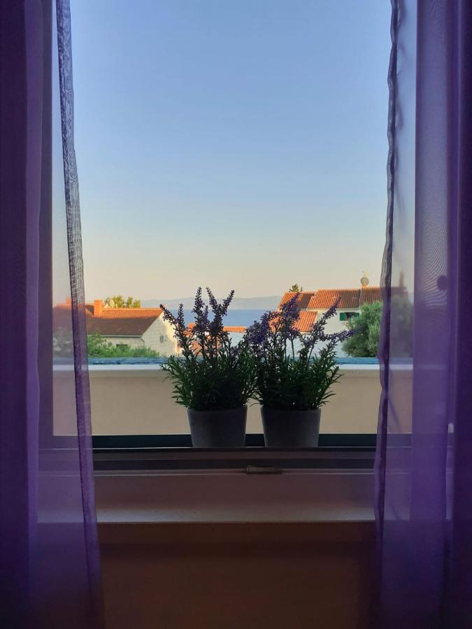 Apartments Borovina ボル エクステリア 写真