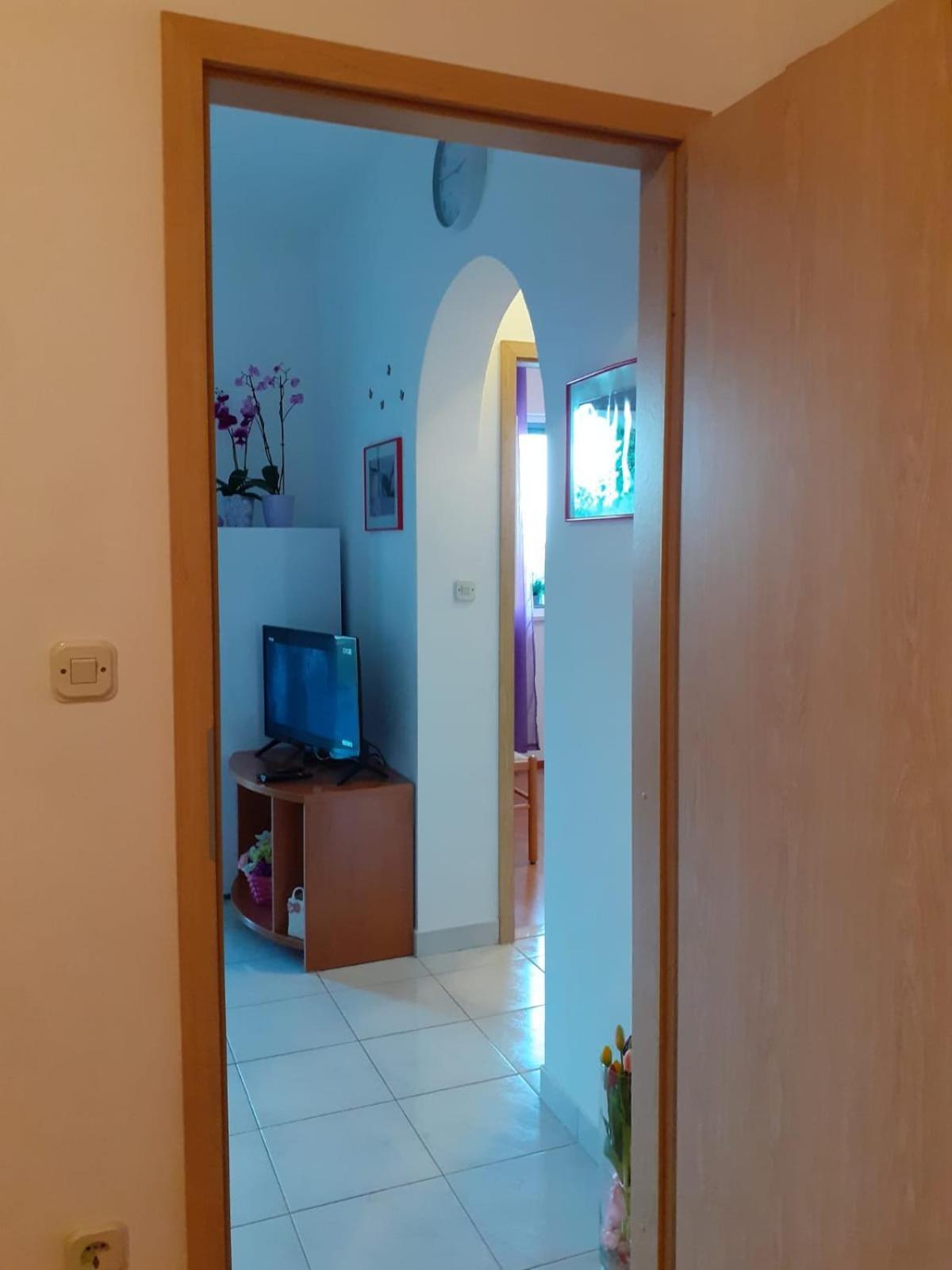 Apartments Borovina ボル 部屋 写真