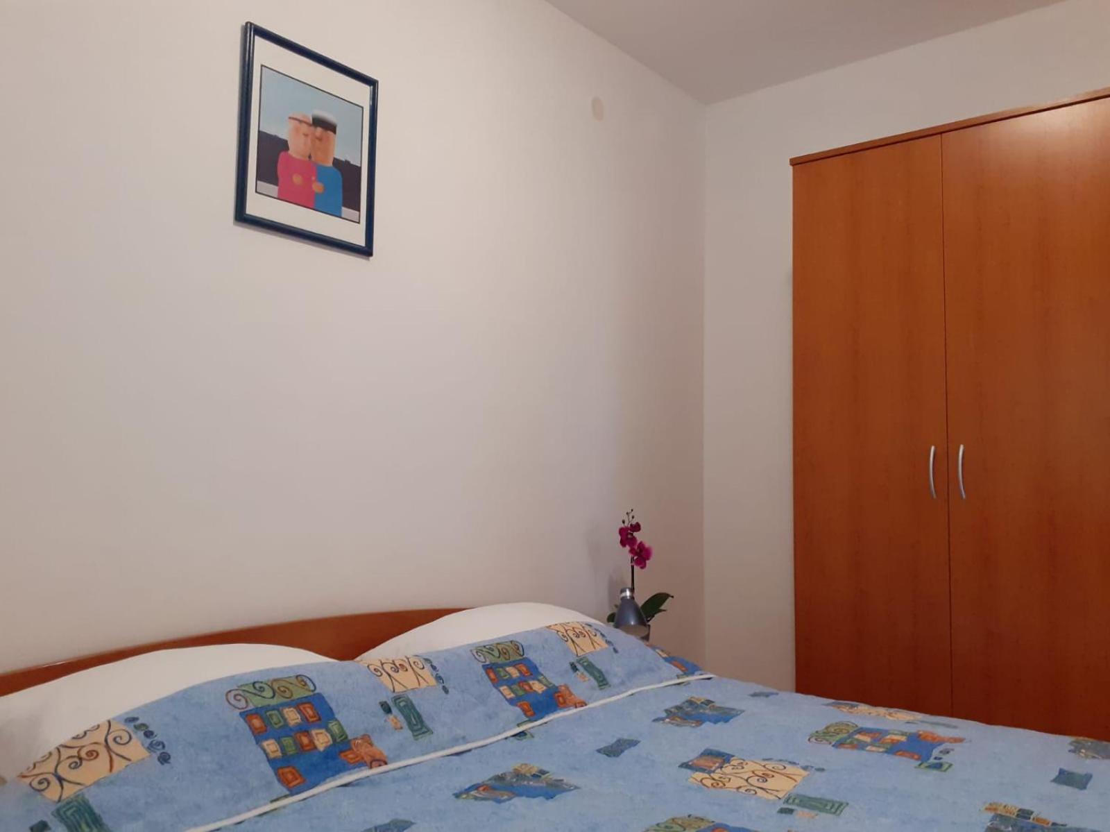 Apartments Borovina ボル 部屋 写真