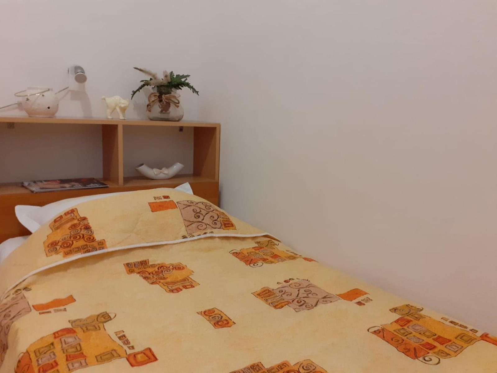 Apartments Borovina ボル 部屋 写真