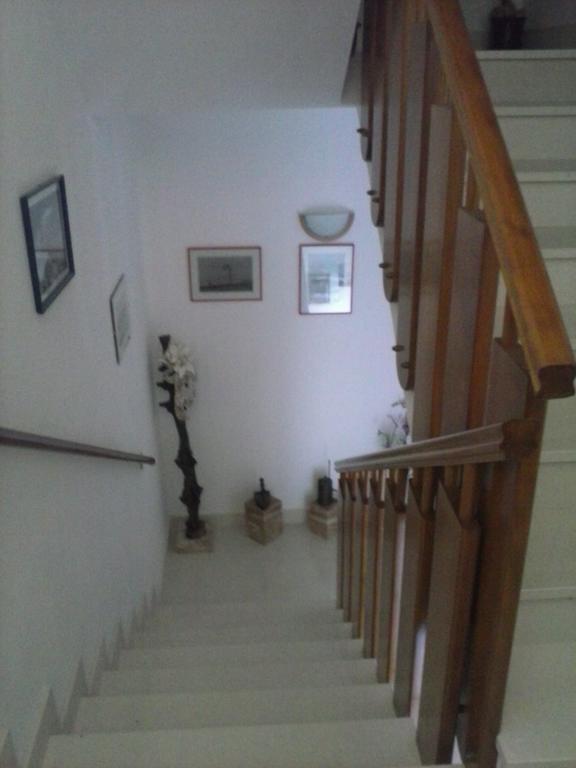 Apartments Borovina ボル エクステリア 写真
